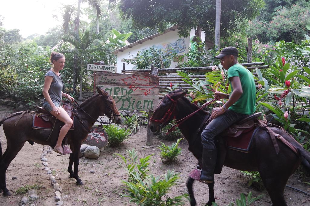 Finca Carpe Diem Ecolodge Minca Extérieur photo