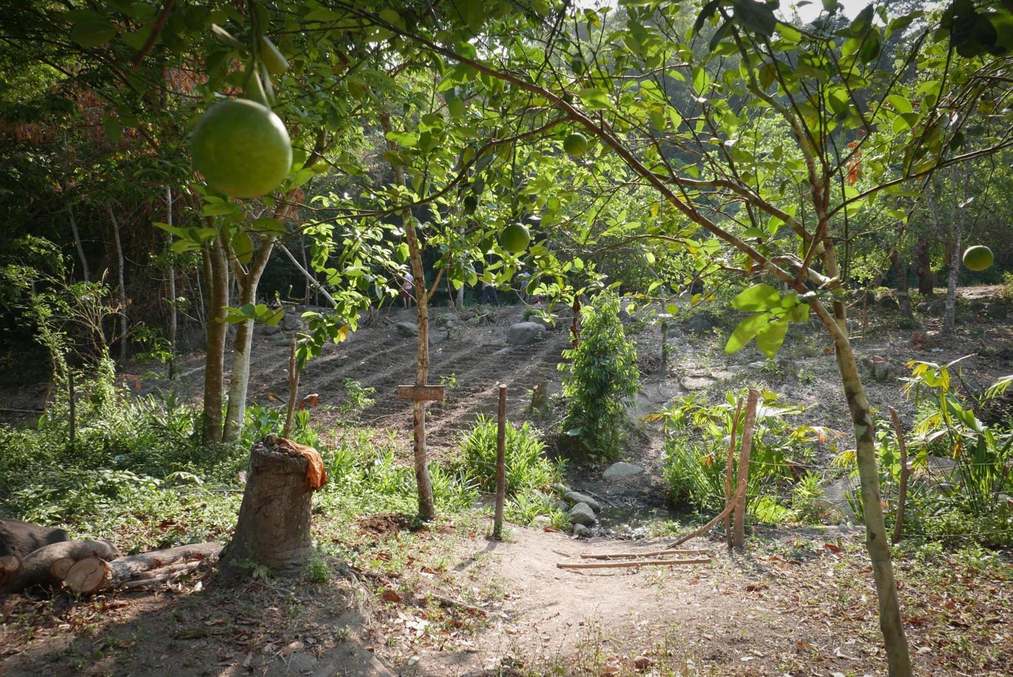 Finca Carpe Diem Ecolodge Minca Extérieur photo