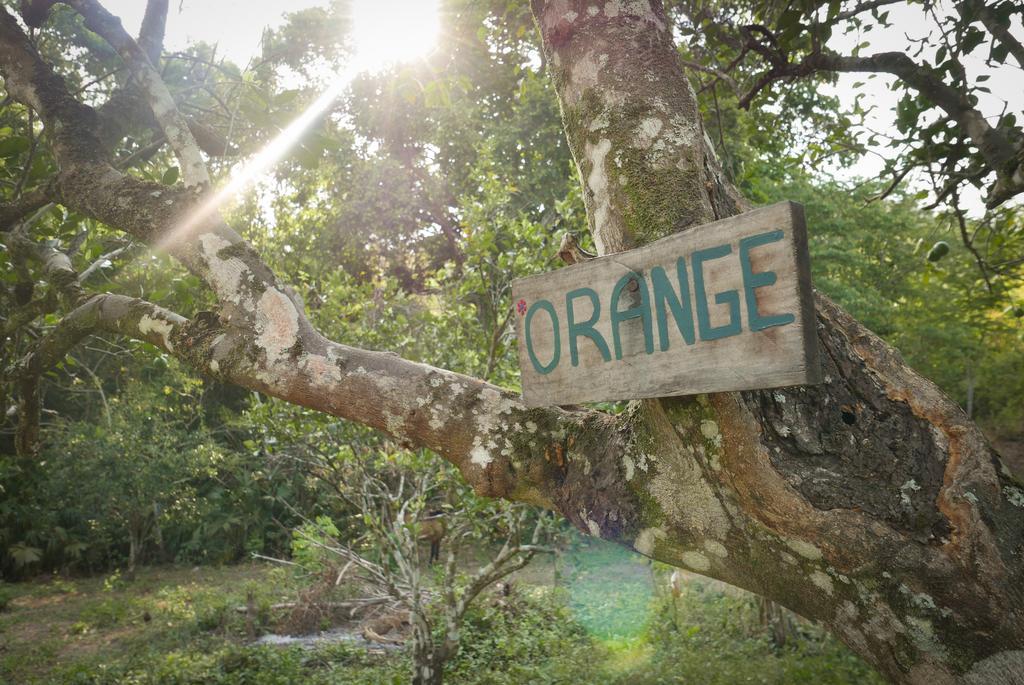 Finca Carpe Diem Ecolodge Minca Extérieur photo